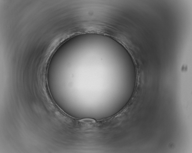 X0000112840241200908211247