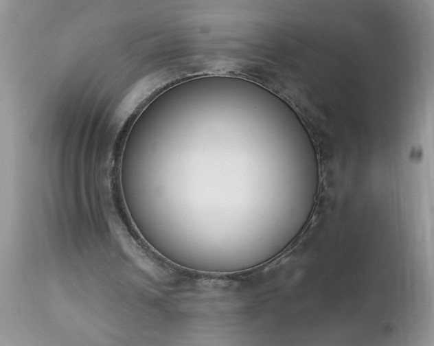 X0000112840242200908211247