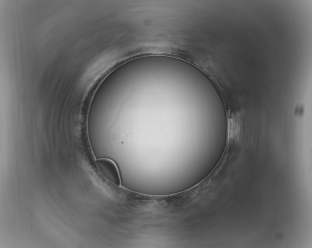 X0000112840243200908211247