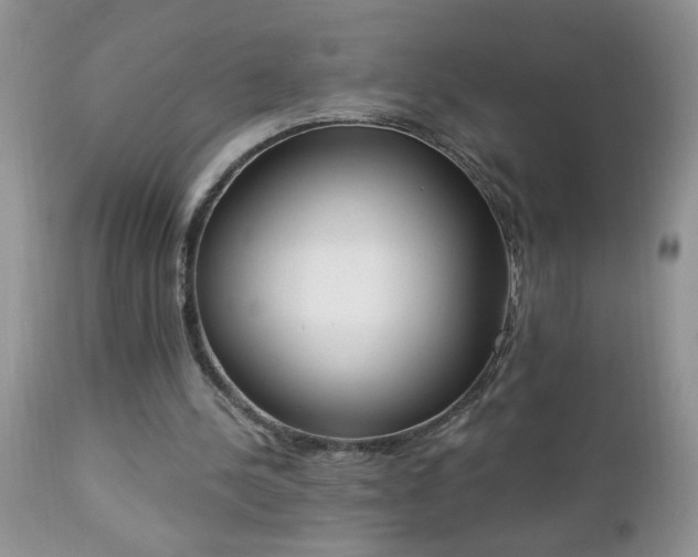 X0000112840244200908211247