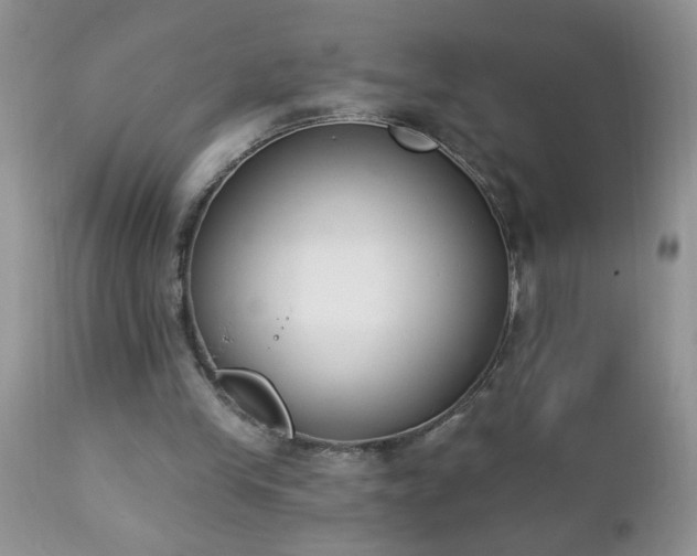 X0000112840245200908211247