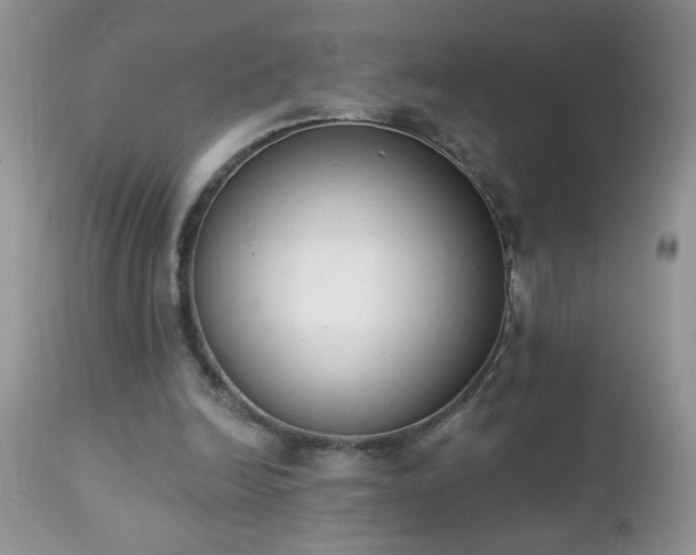 X0000112840246200908211247