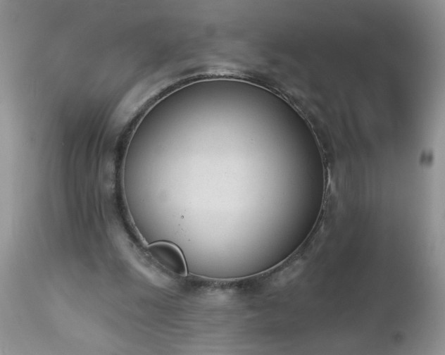 X0000112840247200908211247