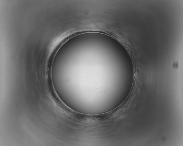 X0000112840248200908211247