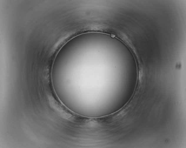 X0000112840249200908211247