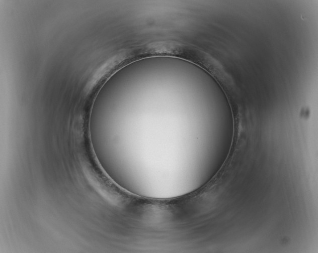 X0000112840250200908211247