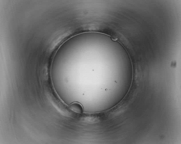 X0000112840251200908211247