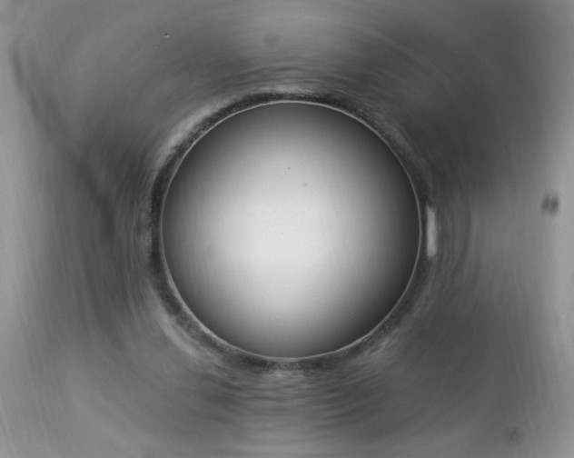 X0000112840252200908211247