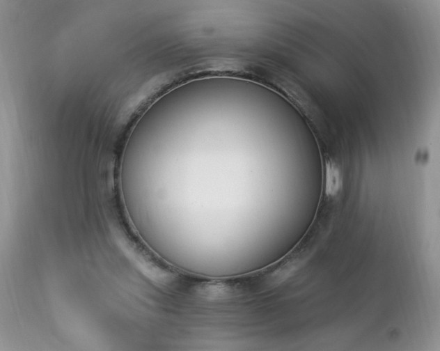 X0000112840253200908211247