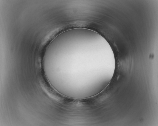 X0000112840254200908211247