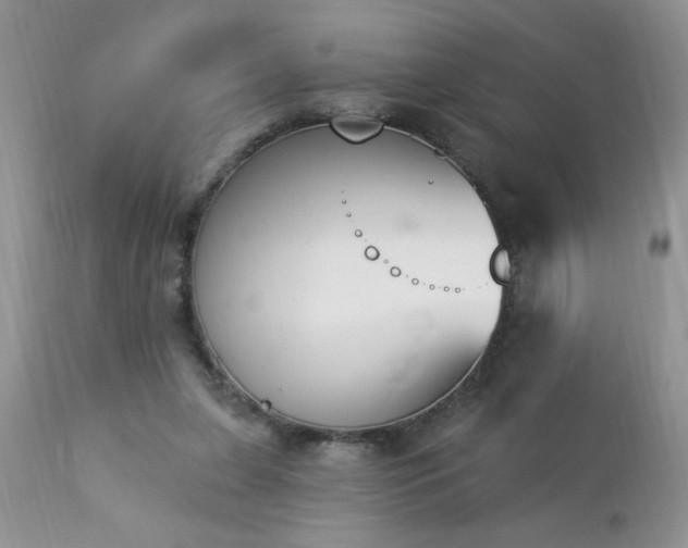 X0000112840255200908211247