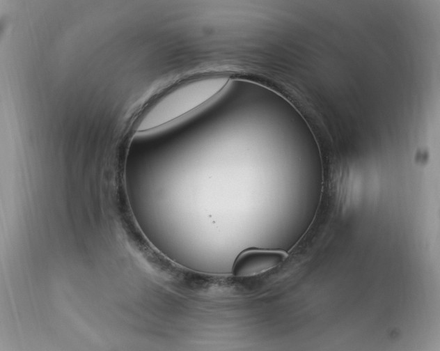 X0000112840256200908211247