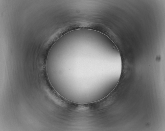 X0000112840257200908211247