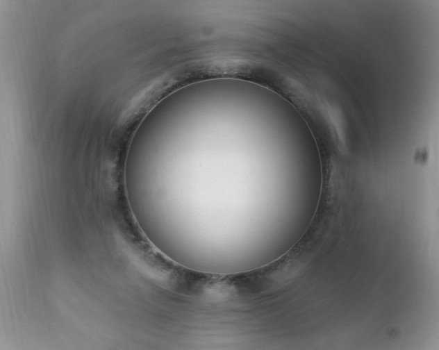 X0000112840258200908211247