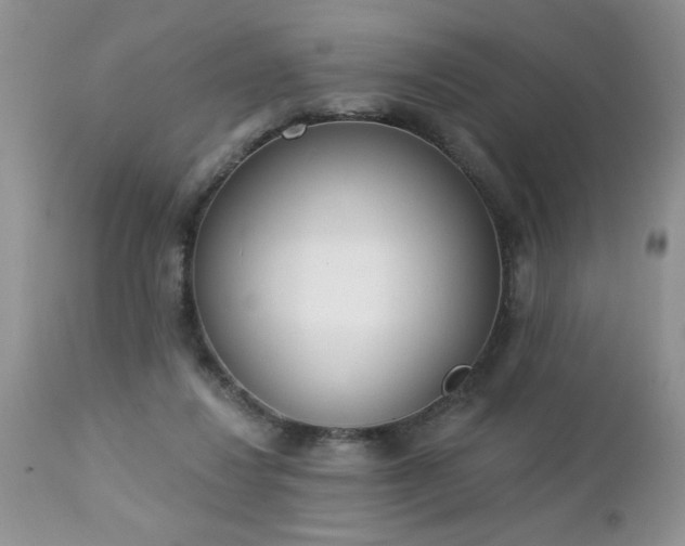 X0000112840260200908211248