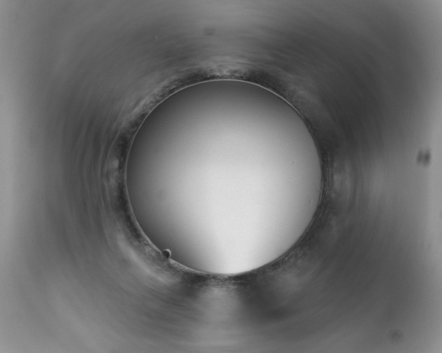 X0000112840263200908211248