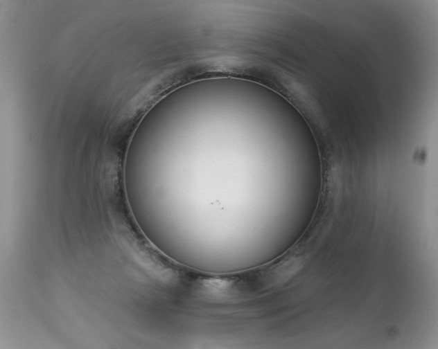 X0000112840265200908211248