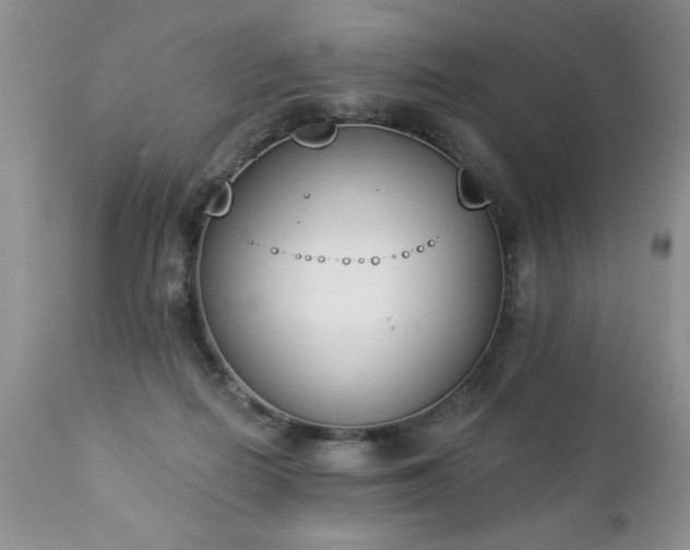 X0000112840266200908211248