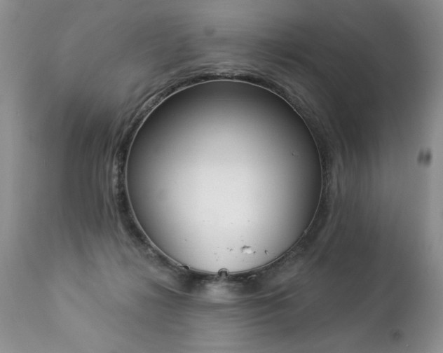 X0000112840268200908211248