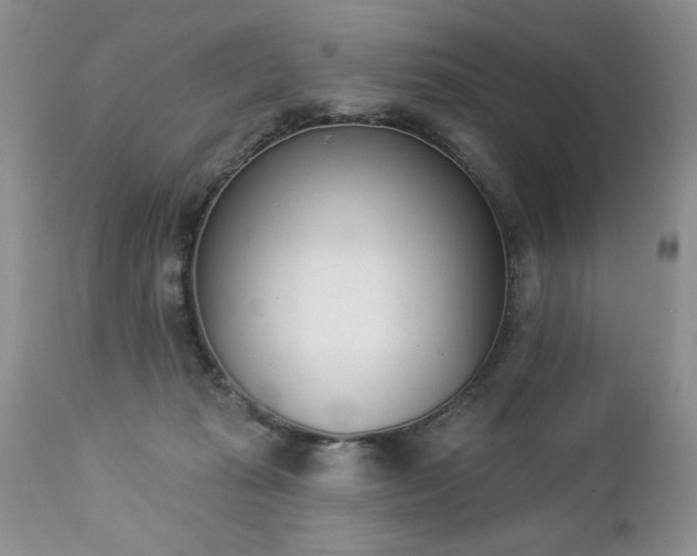 X0000112840269200908211248