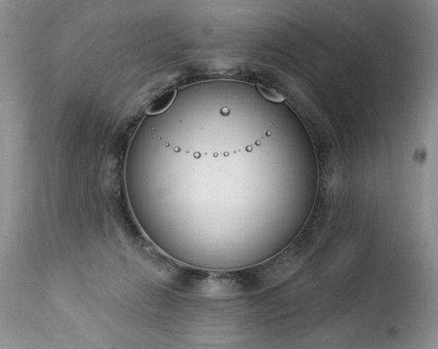 X0000112840270200908211248