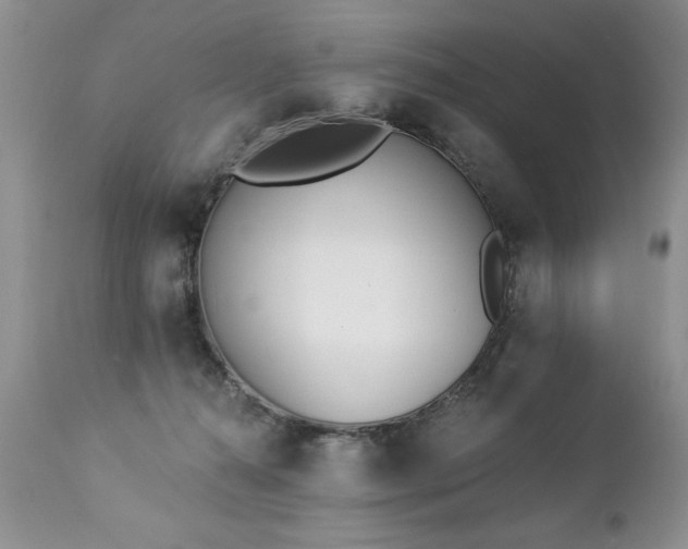 X0000112840272200908211248