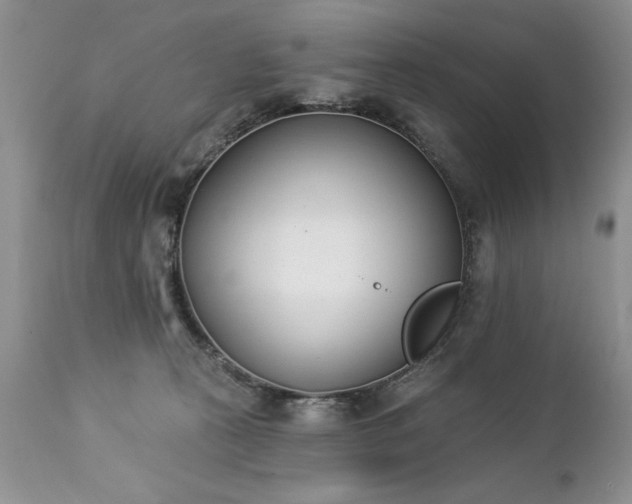 X0000112840273200908211248