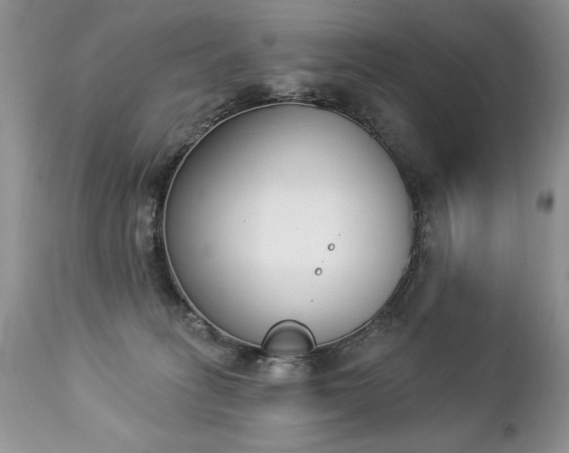 X0000112840275200908211248