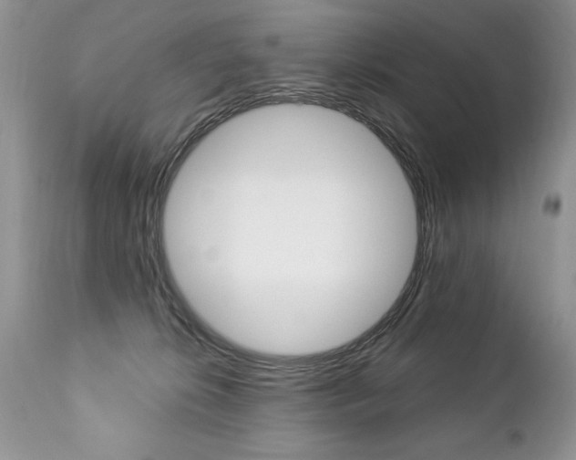 X0000112840276200908211248