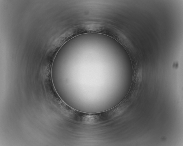 X0000112840277200908211248