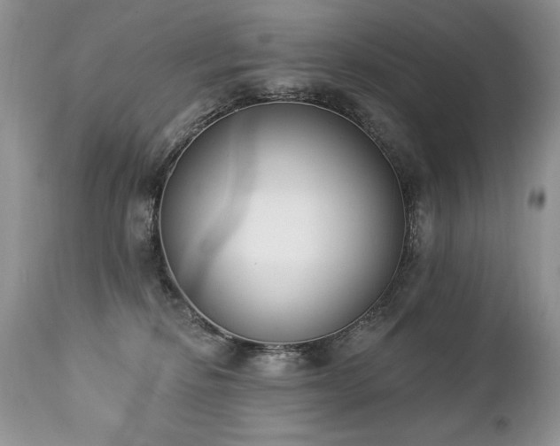 X0000112840278200908211248