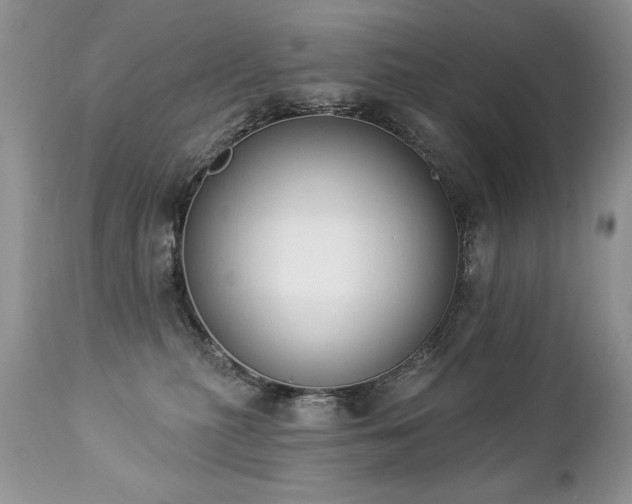 X0000112840279200908211248