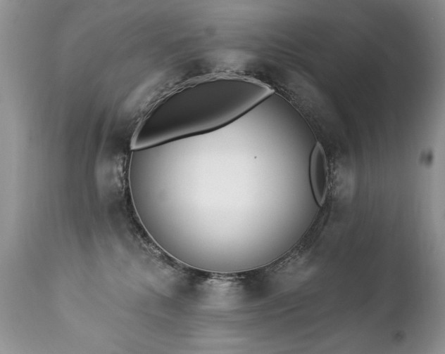 X0000112840280200908211248