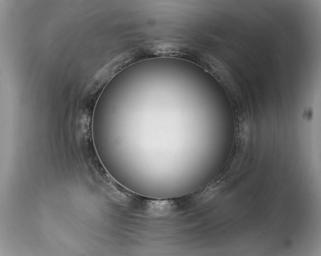 X0000112840281200908211248