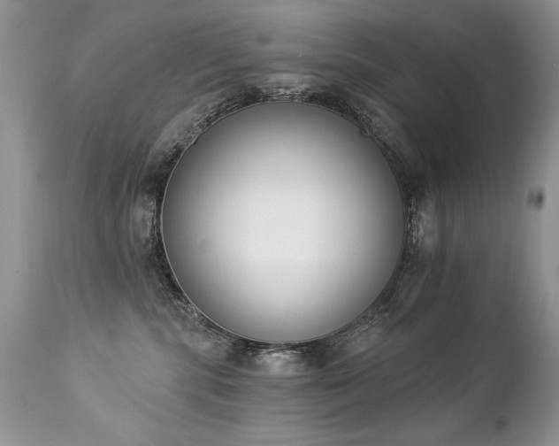 X0000112840283200908211248