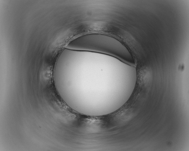 X0000112840284200908211248