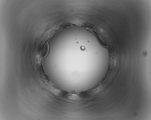 X0000112840285200908211248