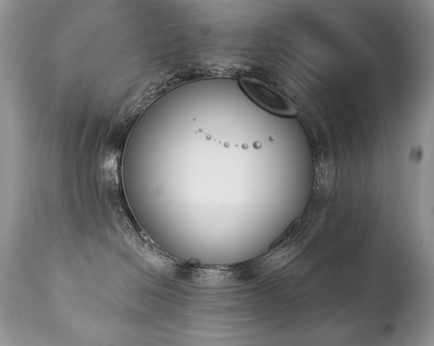 X0000112840286200908211248