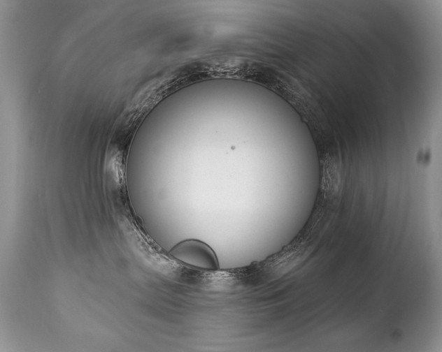 X0000112840287200908211248