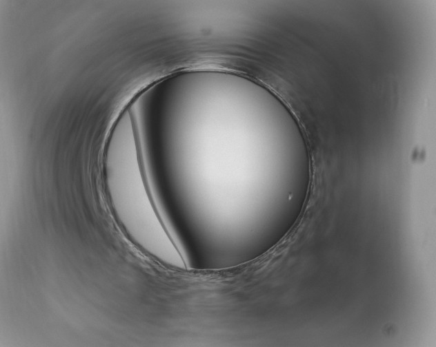 X0000112840289200908211247