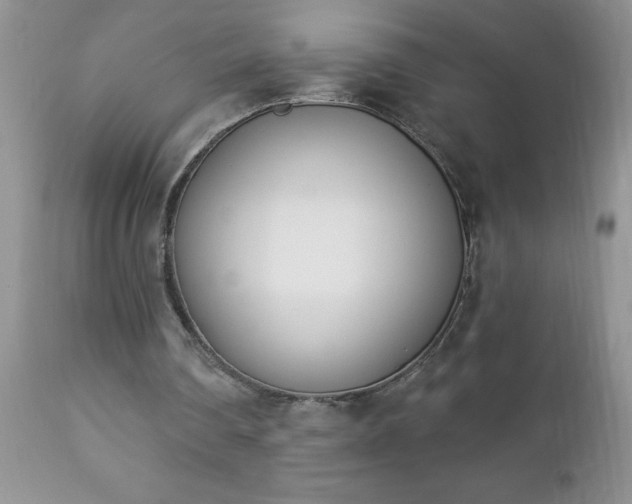 X0000112840290200908211247