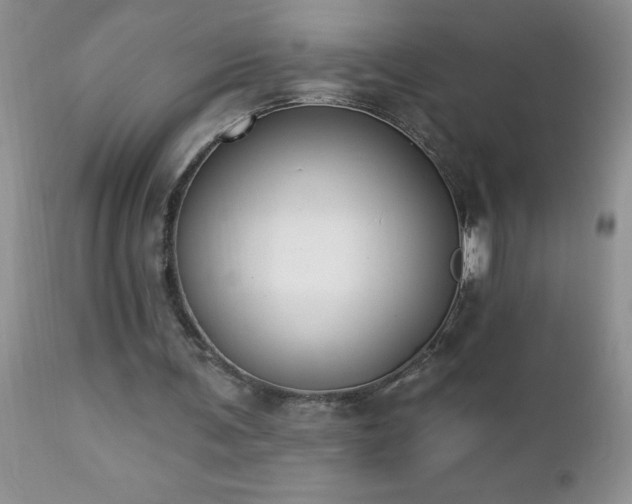 X0000112840291200908211247