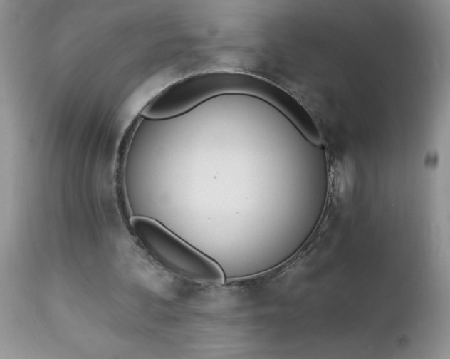 X0000112840292200908211247