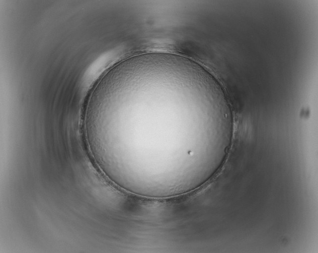 X0000112840293200908211247