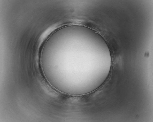 X0000112840294200908211247