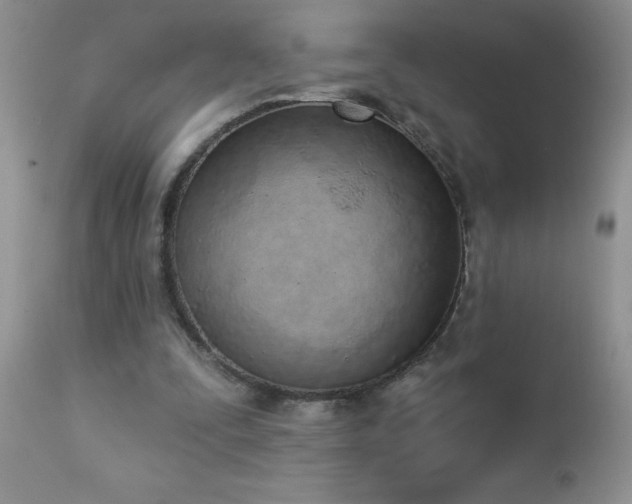 X0000112840295200908211247