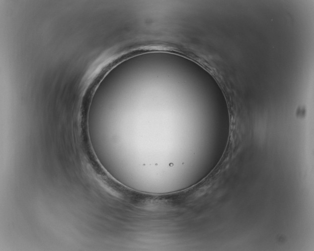 X0000112840296200908211247