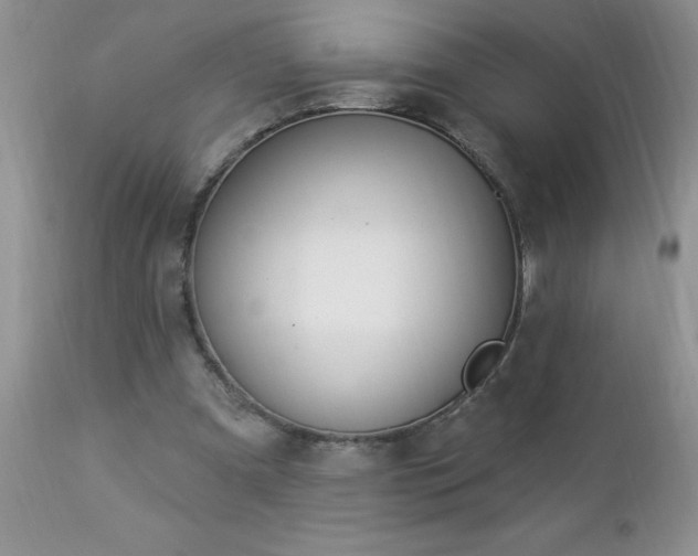 X0000112840297200908211247