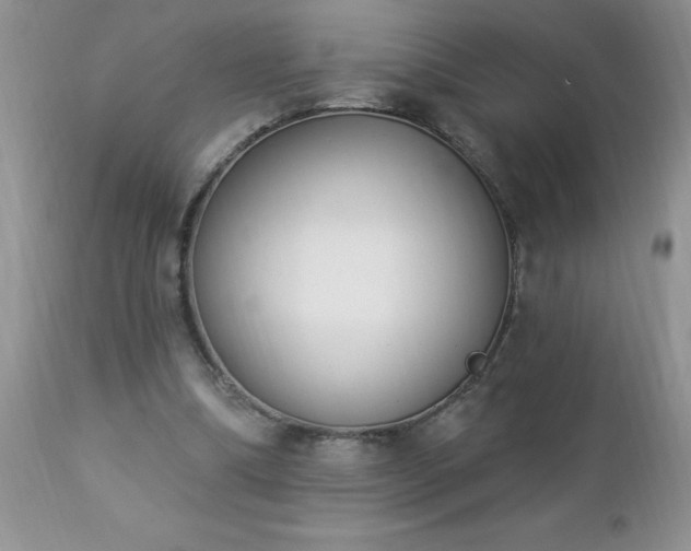 X0000112840298200908211247