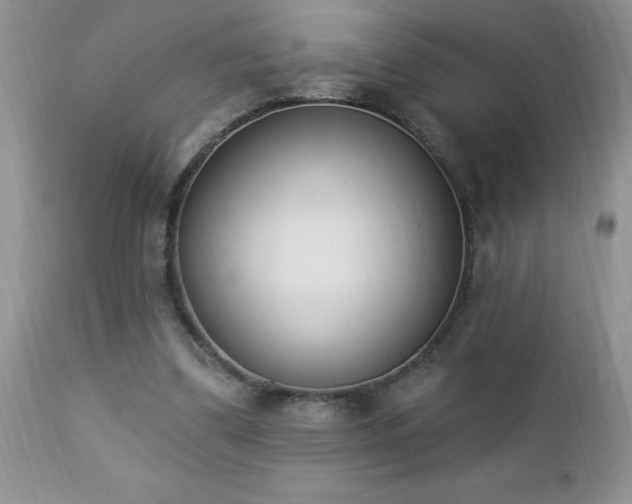 X0000112840299200908211247